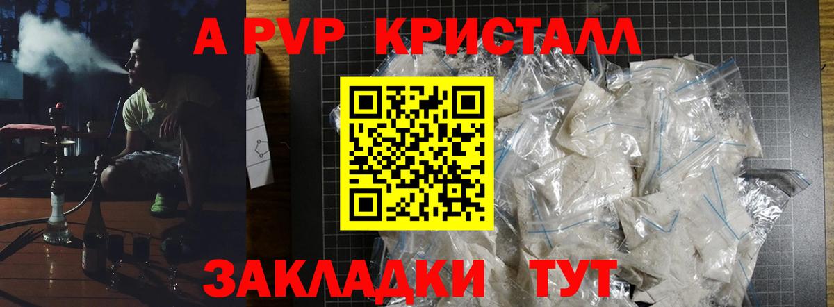 A-PVP СК КРИС Воркута