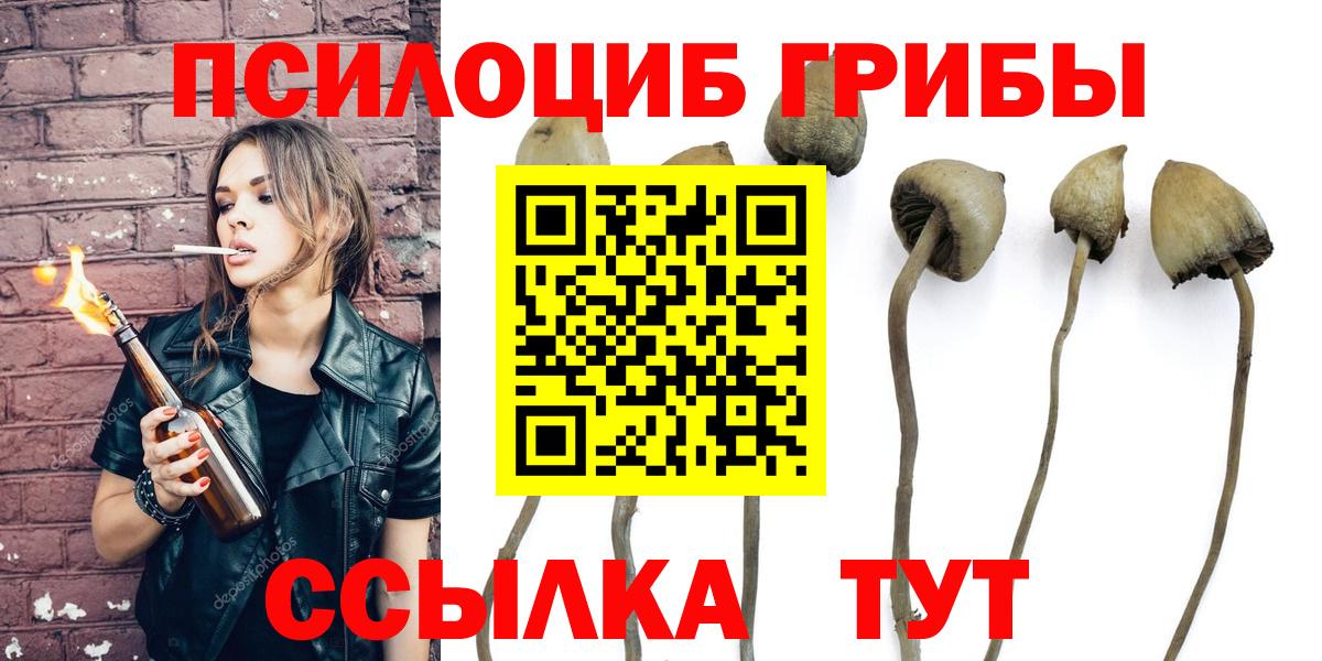 Псилоцибиновые грибы Psilocybine cubensis Воркута